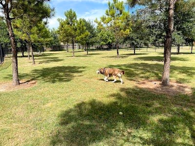 Dog Park at Ogden Park photo 2